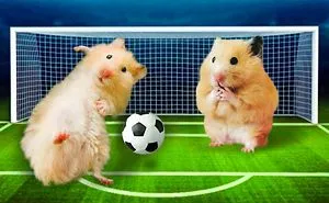 Hamster Play Football ★ Cristiano Ronaldo vs. Lionel Messi