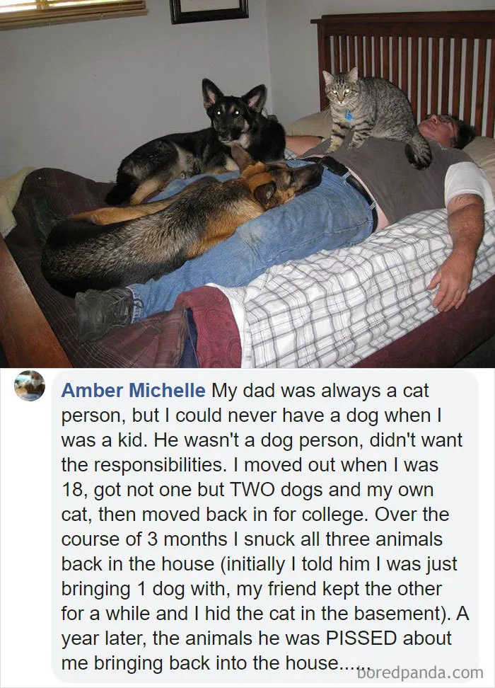 30 People Who Didn’t Want Pets But Changed Their Mind Real Fast