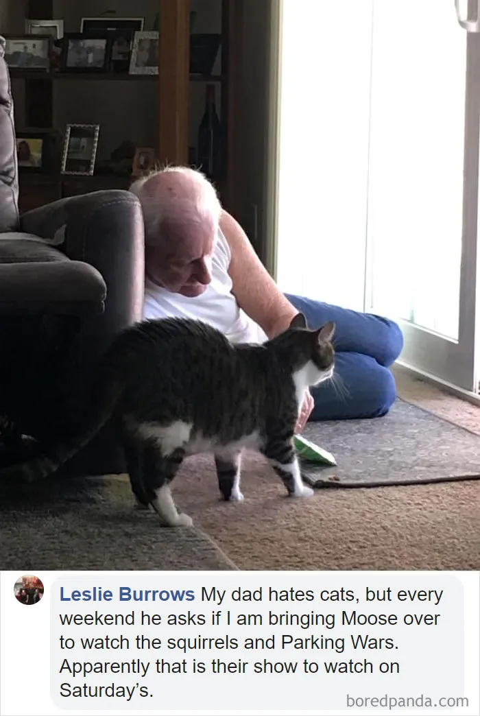 30 People Who Didn’t Want Pets But Changed Their Mind Real Fast