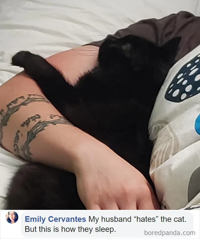 30 People Who Didn’t Want Pets But Changed Their Mind Real Fast