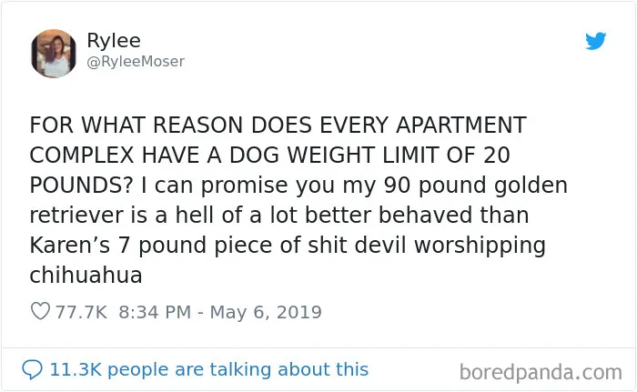 Devil Chihuahua