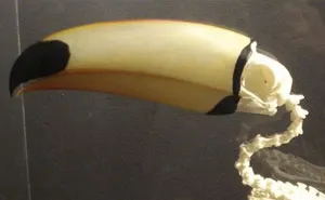 People Are Suddenly Realizing Toucans Are Weirder Than They Thought, Share Facts About Them In A Viral Thread