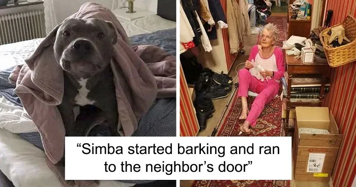Woman Was Scared Of Neighbor's Pit Bull, Until He Saved Her When She Was In Trouble