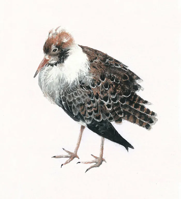 One Of My Realistic Painted Animals For Brno Zoo In The Czech Republic