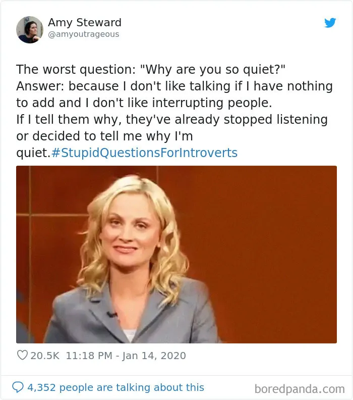 Someone Asks Introverts To Share What Questions Annoy Them The Most, They Respond With 30 Tweets