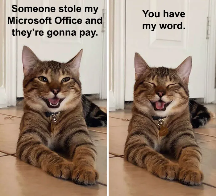 Owner Uploads Photos Of Their Laughing Cat, And It Becomes The New 'Dad Joke' Meme (21 Pics)