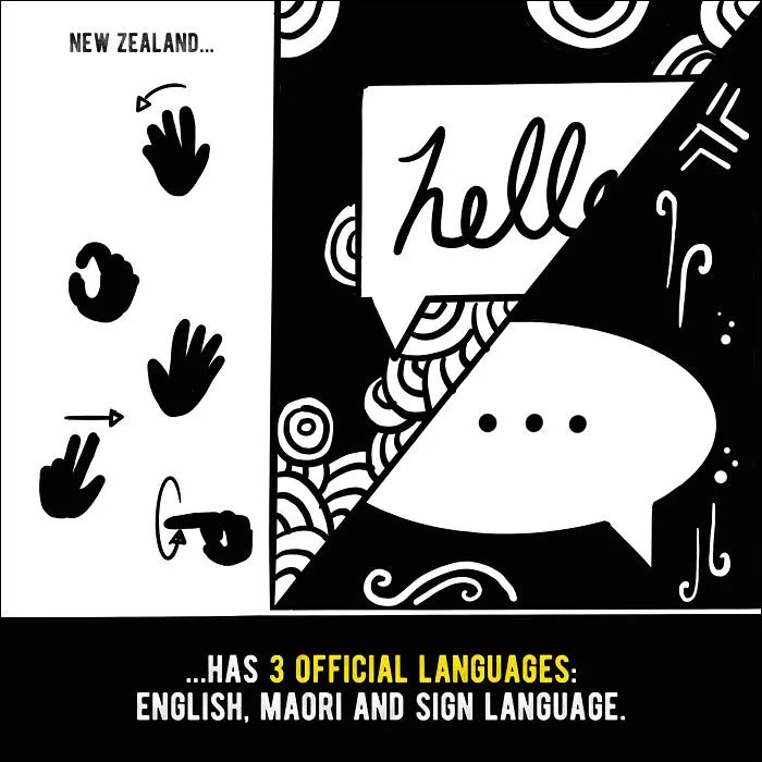 We Illustrated 20 Interesting Facts About New Zealand That You Probably Didn't Know