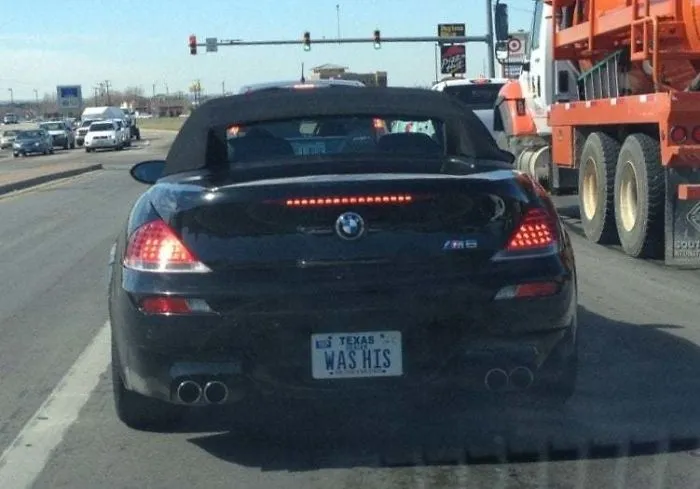 Damn Ex-Wives