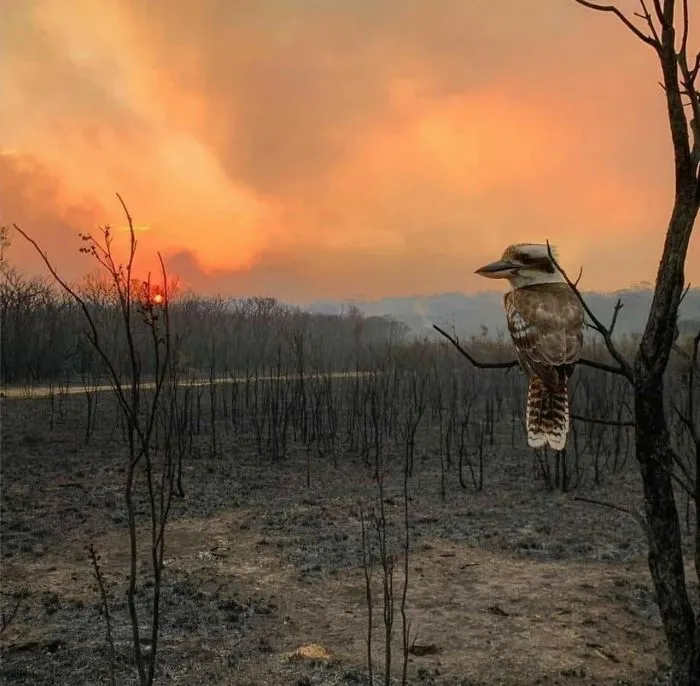 Tras un incendio