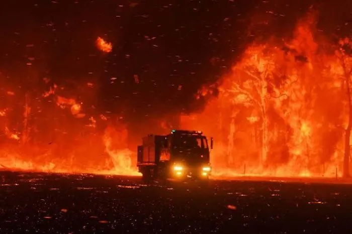 Australia Bush Fire