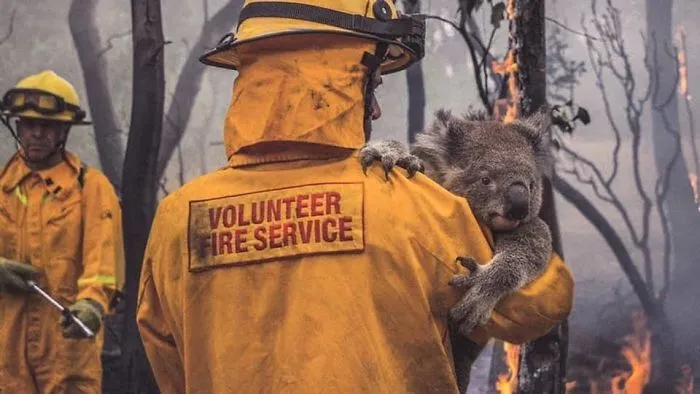 Bomberos salvando a gente, animales y hogares
