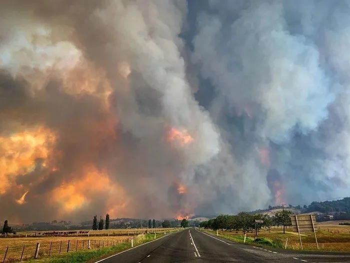 This Is A Pyrocumulus Cloud Produced By Smoke From The Australian Bushfires. It’s 12km High. It Produces Its Own Thunderstorms, Fire Tornadoes And 100km/H Winds