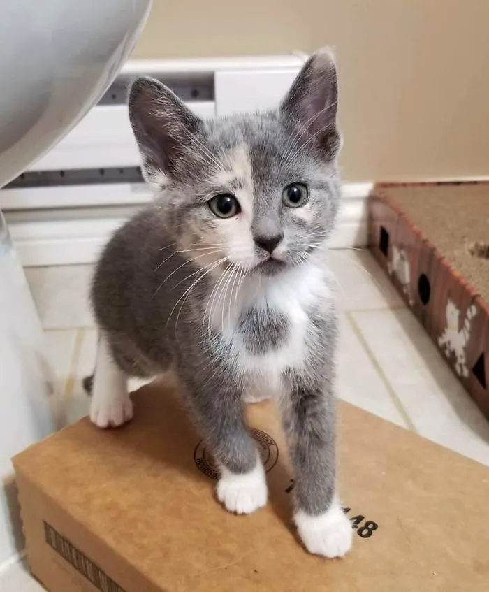 Our Family Applied To Adopt This Little One Today.  Hoping All Goes Well