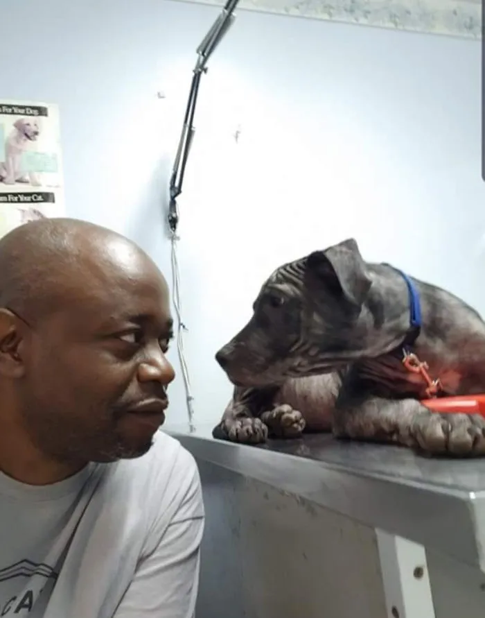 Rescued Him From The Streets. Vet Visit Was Great Despite Skin Issues