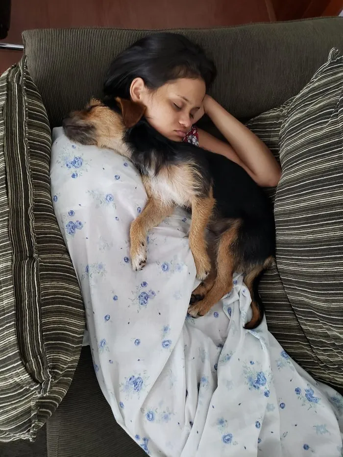 Just Rescued This Puppy From The Streets. That Is It First Nap After A Shower And Food