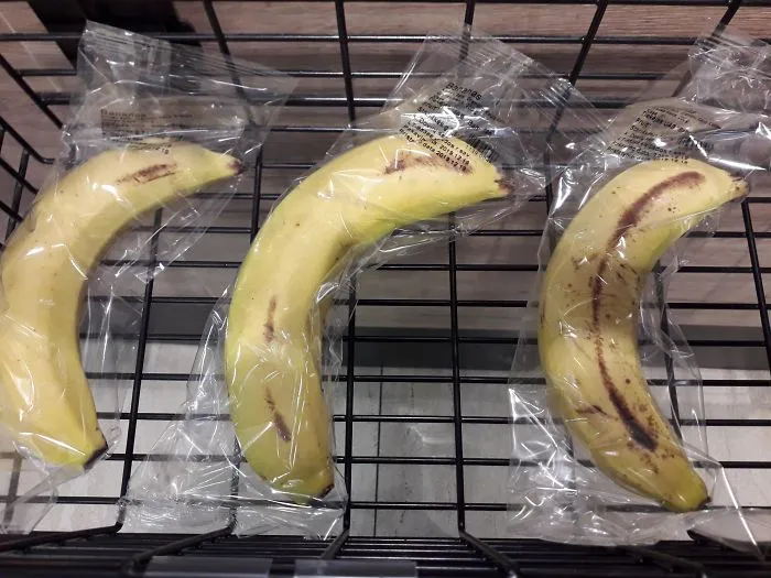 Ladies And Gentlemen, The Pinnacle Of Human Stupidity