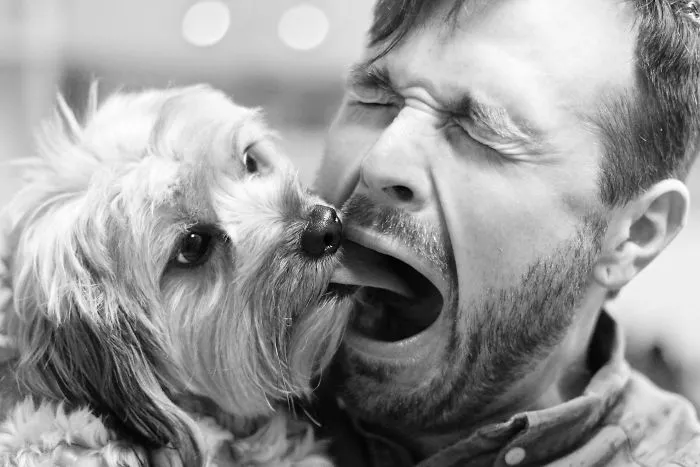 El perro de mi amigo le mete la lengua en la boca mientras se ríe