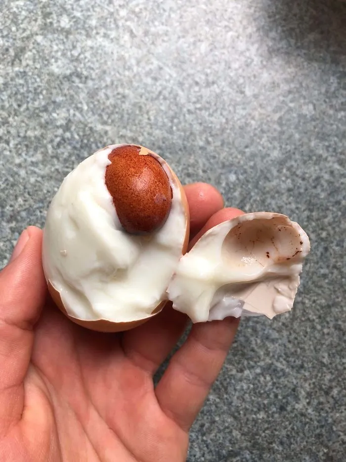 I Had An Egg Inside My Egg