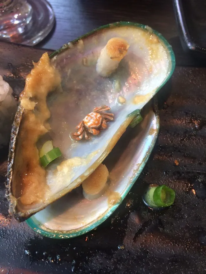 Había un cangrejito dentro de un mejillón