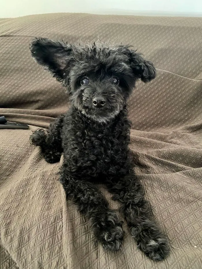 Mi bebé rescatada, Lucy