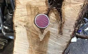 30 Times People Broke Or Opened Things And Were Surprised By What They Found Inside