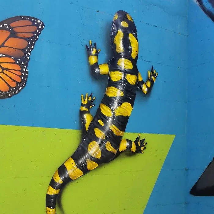 30 Pics Of 3D Street Art That Interacts With Its Surroundings, Created By Caiffa Cosimo