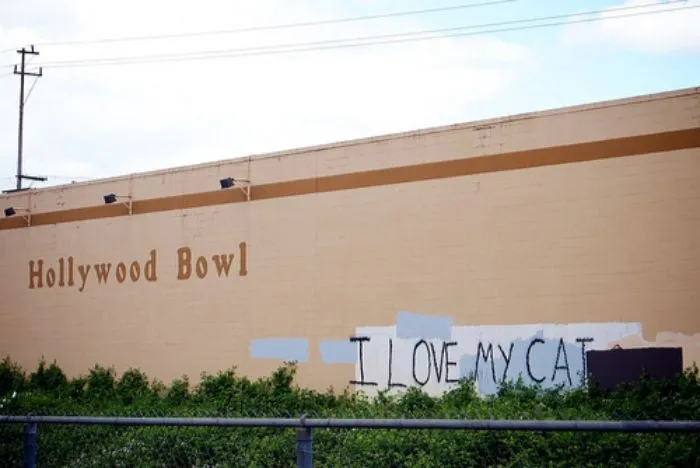 30 Examples Of Hilariously Polite Graffiti