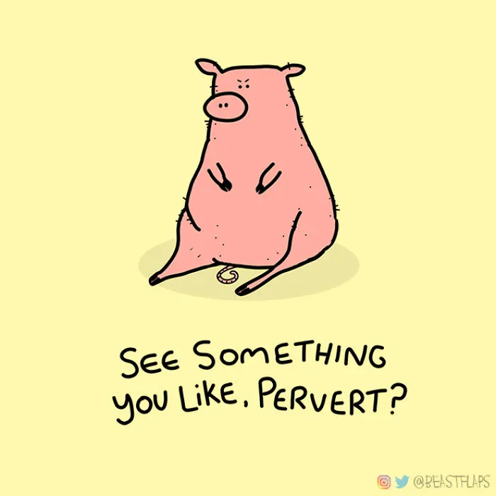 17 Pics Of Funny Grumpy Animals That I Will Continue To Draw Each Day Throughout 2020