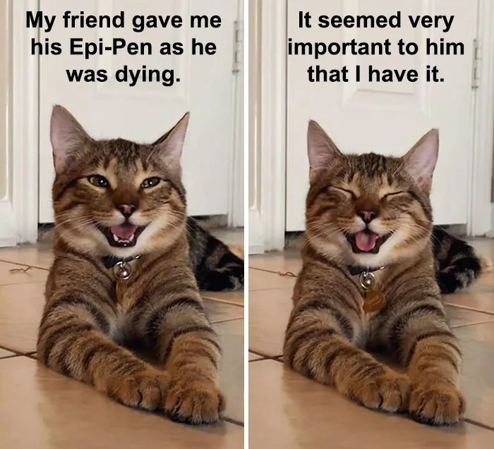 Owner Uploads Photos Of Their Laughing Cat, And It Becomes The New 'Dad Joke' Meme (21 Pics)