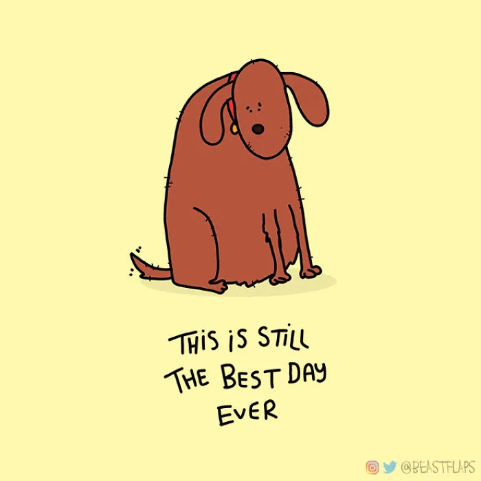 17 Pics Of Funny Grumpy Animals That I Will Continue To Draw Each Day Throughout 2020