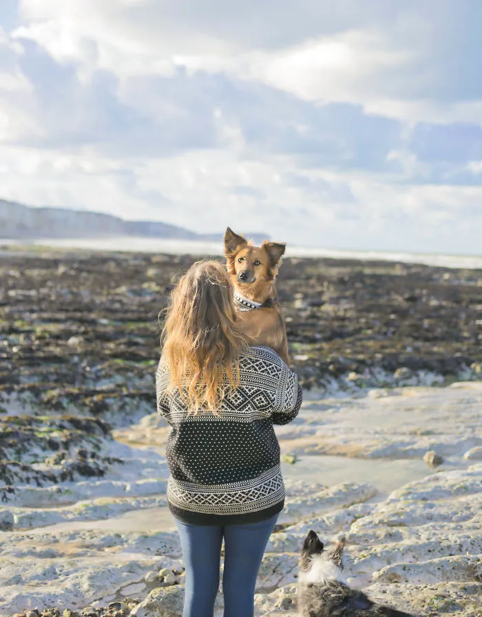 I Adopted Tofu, A Shelter Dog Who Is Often Too Scared To Walk, So I Carry Her Everywhere (30 Pics)