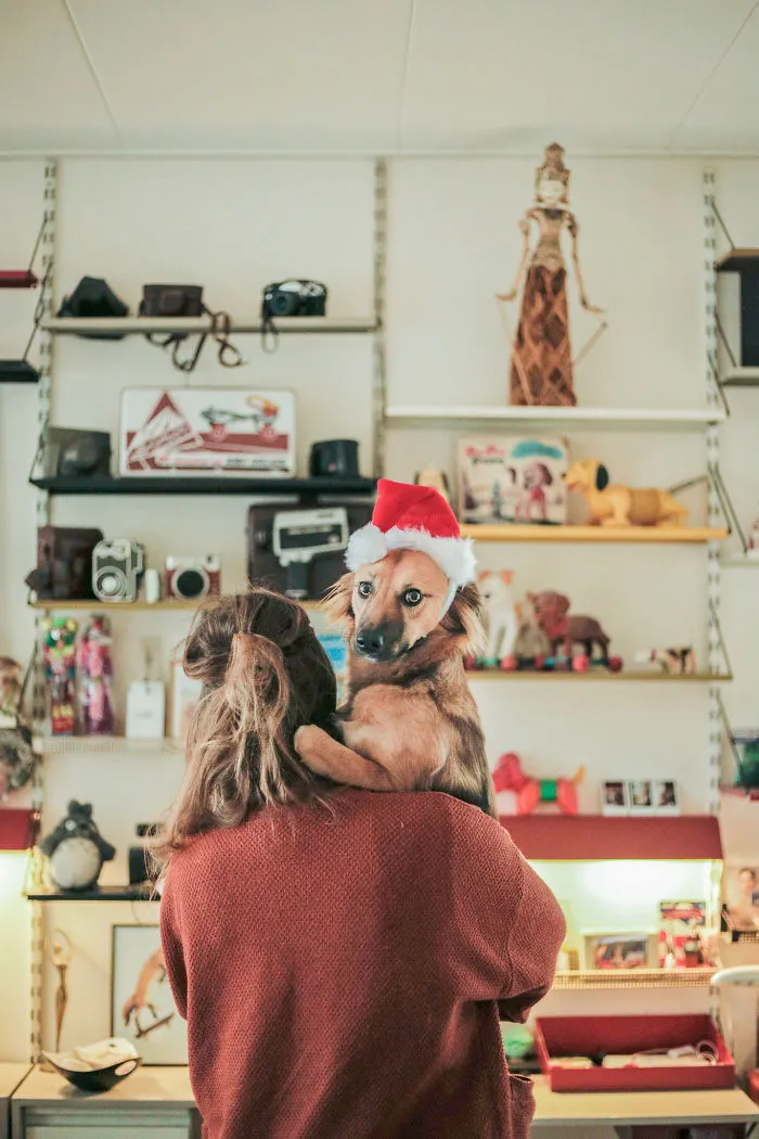 I Adopted Tofu, A Shelter Dog Who Is Often Too Scared To Walk, So I Carry Her Everywhere (30 Pics)