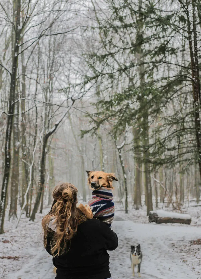 I Adopted Tofu, A Shelter Dog Who Is Often Too Scared To Walk, So I Carry Her Everywhere (30 Pics)