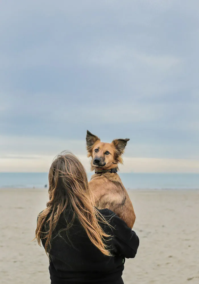 I Adopted Tofu, A Shelter Dog Who Is Often Too Scared To Walk, So I Carry Her Everywhere (30 Pics)