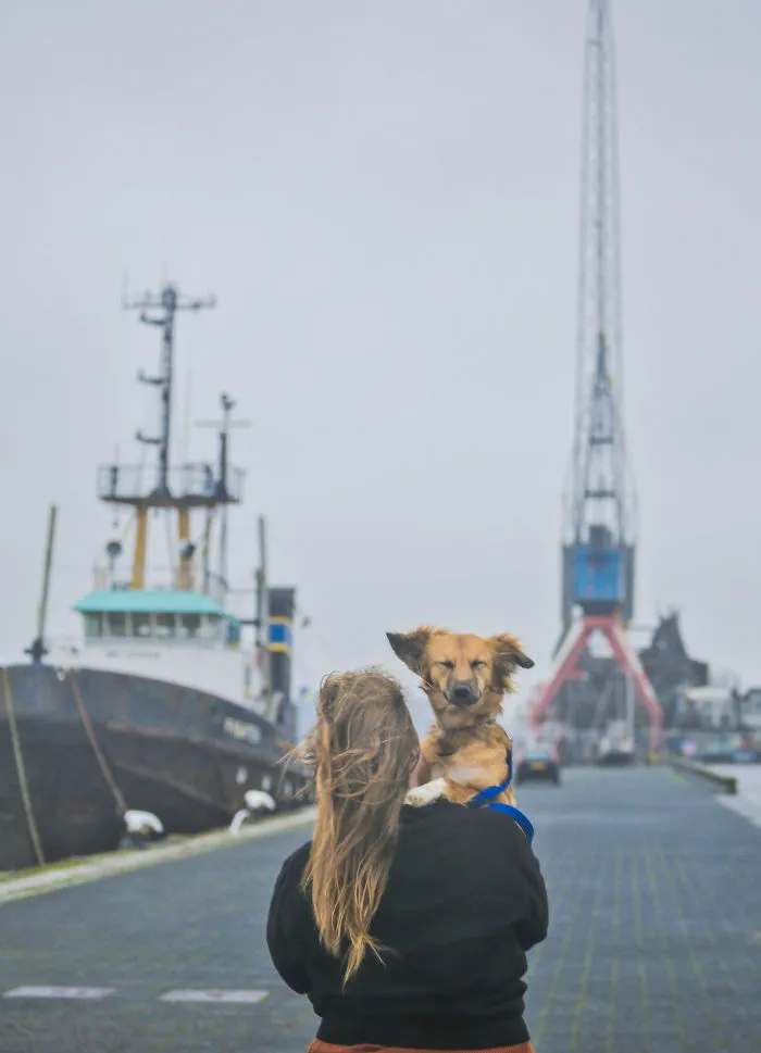 I Adopted Tofu, A Shelter Dog Who Is Often Too Scared To Walk, So I Carry Her Everywhere (30 Pics)