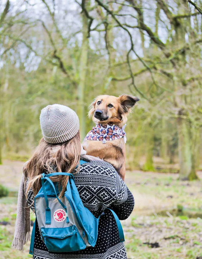 I Adopted Tofu, A Shelter Dog Who Is Often Too Scared To Walk, So I Carry Her Everywhere (30 Pics)
