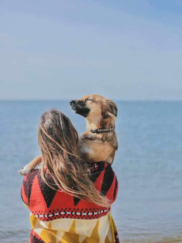 I Adopted Tofu, A Shelter Dog Who Is Often Too Scared To Walk, So I Carry Her Everywhere (30 Pics)