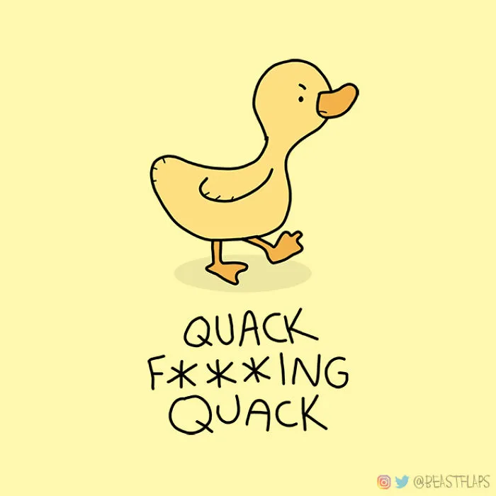 17 Pics Of Funny Grumpy Animals That I Will Continue To Draw Each Day Throughout 2020
