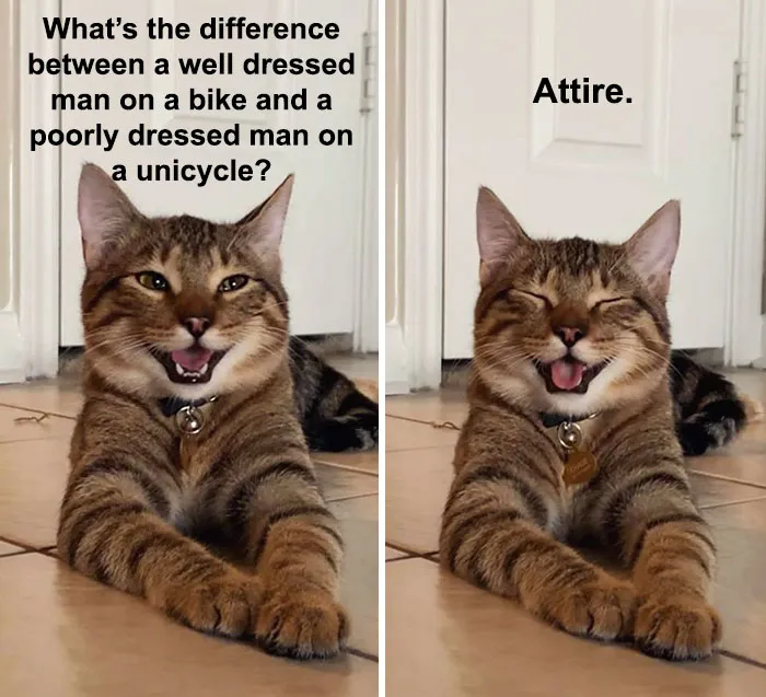 Owner Uploads Photos Of Their Laughing Cat, And It Becomes The New 'Dad Joke' Meme (21 Pics)
