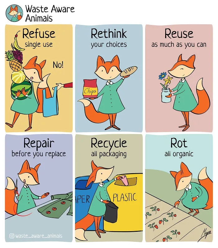 I Dream Of Living A Zero-Waste Life, Here Are The Struggles I Face (31 Comics)