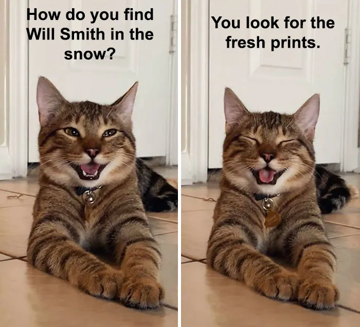 Owner Uploads Photos Of Their Laughing Cat, And It Becomes The New 'Dad Joke' Meme (21 Pics)