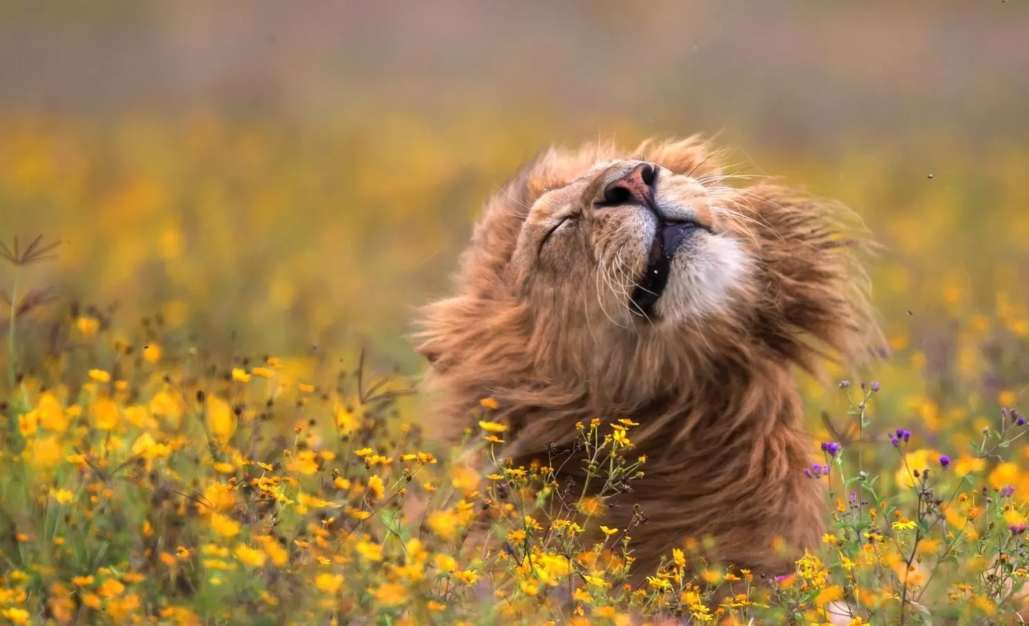 2019 Best Nature Clicks