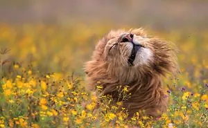 2019 Best Nature Clicks
