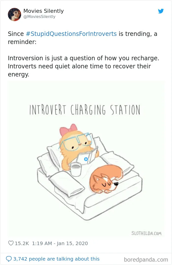 Someone Asks Introverts To Share What Questions Annoy Them The Most, They Respond With 30 Tweets