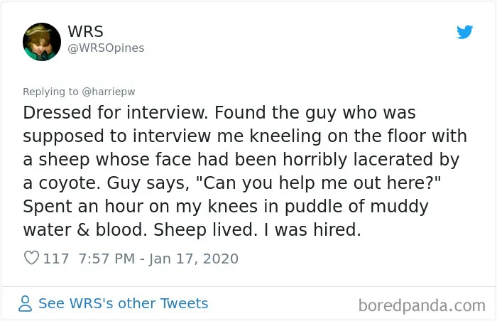 People Share 30 Worst Job Interview Stories And Personal Experiences, And Some Are Hard To Imagine