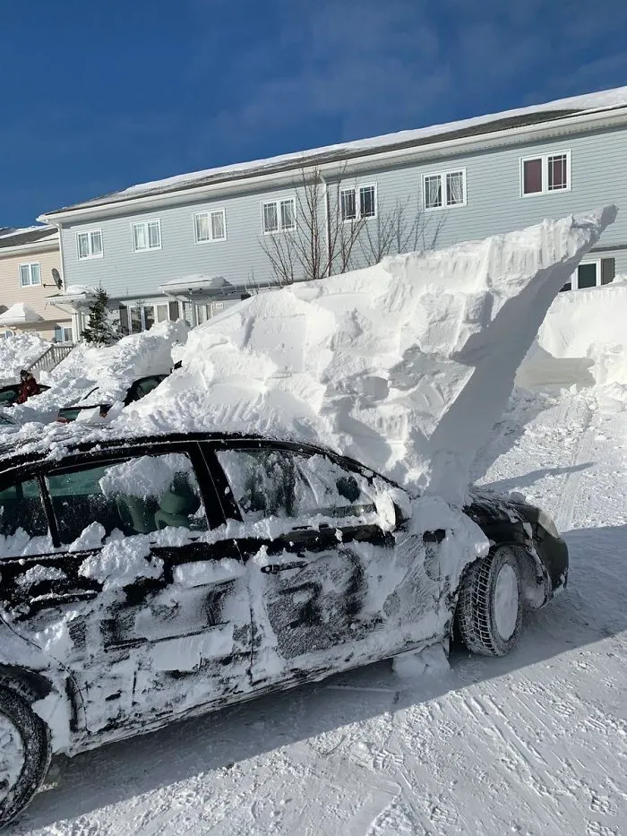 Tras sacar el coche ha quedado así