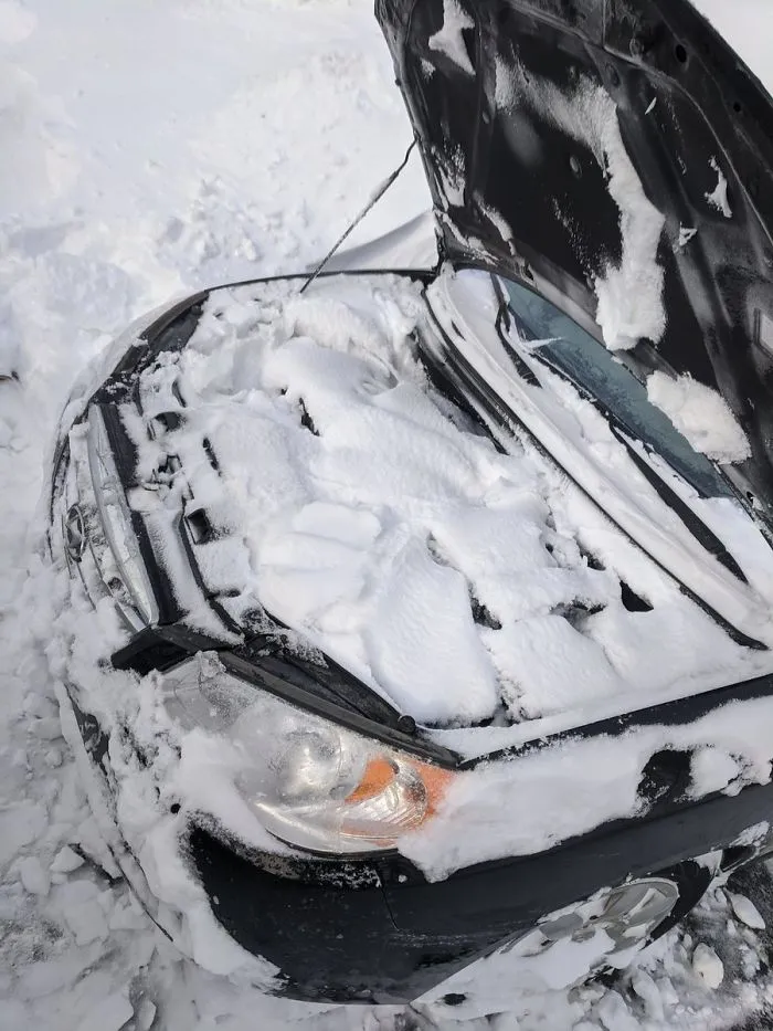 Folks Don't Forget To Check Under Your Hood!