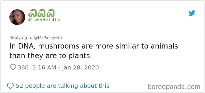Someone Starts A Twitter Thread On The Most Random Facts And 35 People Deliver