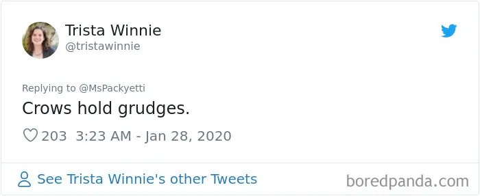 Someone Starts A Twitter Thread On The Most Random Facts And 35 People Deliver