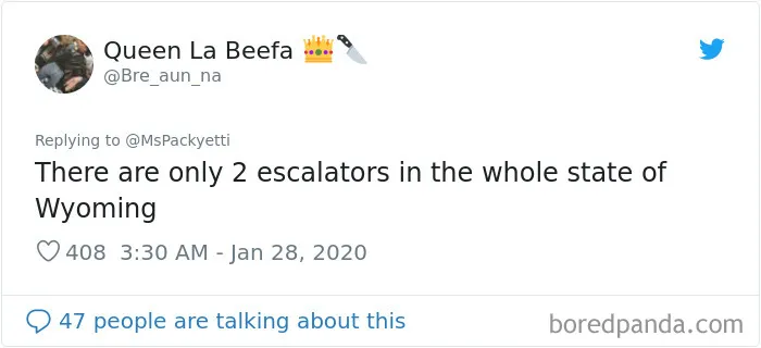 Someone Starts A Twitter Thread On The Most Random Facts And 35 People Deliver